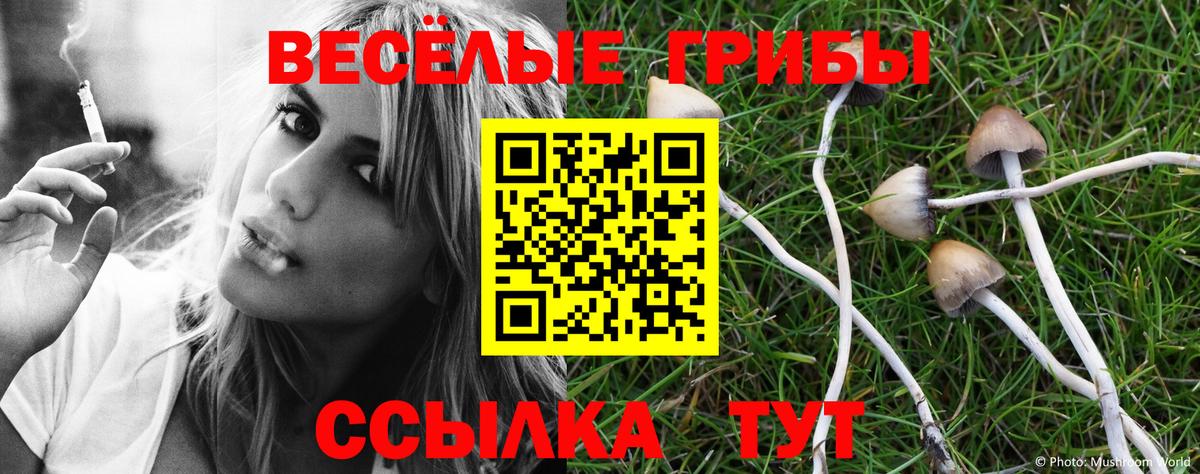 Галлюциногенные грибы GOLDEN TEACHER Краснокамск
