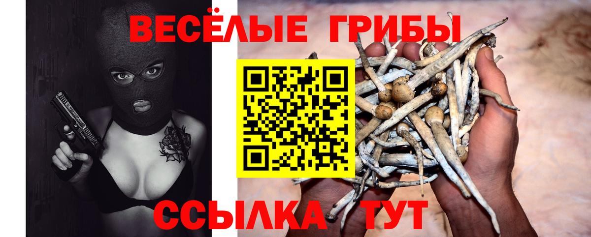 Краснокамск  Псилоцибиновые грибы Psilocybine cubensis  Вход с VPN 